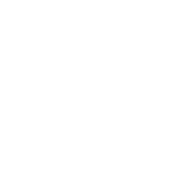 Skyvidya